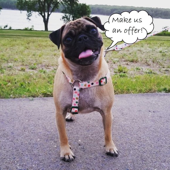 NWOT Kate Spade Floral Mosaic Jacquard Shorts - Picture 11 of 11